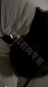 楼道吃鸡挑战刺激玩法